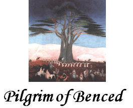 Benced Newsletter Logo