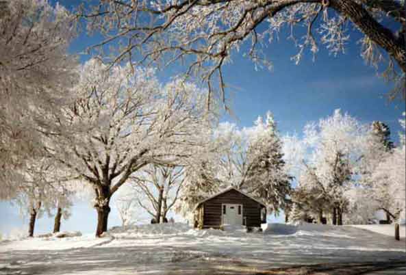 Photo of the log cabin in the winter surrounded by trees with frosty branches.